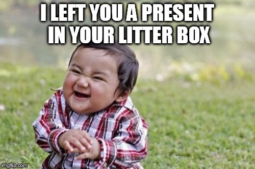 Evil Toddler Meme | I LEFT YOU A PRESENT IN YOUR LITTER BOX | image tagged in memes,evil toddler | made w/ Imgflip meme maker