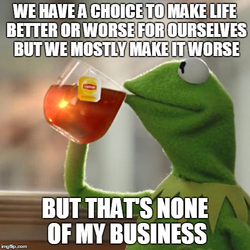 But That's None Of My Business | WE HAVE A CHOICE TO MAKE LIFE BETTER OR WORSE FOR OURSELVES BUT WE MOSTLY MAKE IT WORSE; BUT THAT'S NONE OF MY BUSINESS | image tagged in memes,but thats none of my business,kermit the frog | made w/ Imgflip meme maker