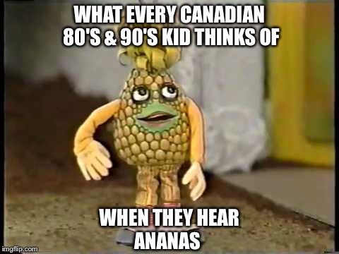 WHAT EVERY CANADIAN 80'S & 90'S KID THINKS OF; WHEN THEY HEAR; ANANAS | made w/ Imgflip meme maker