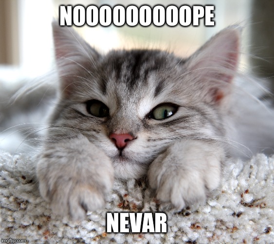 NOOOOOOOOOPE; NEVAR | made w/ Imgflip meme maker