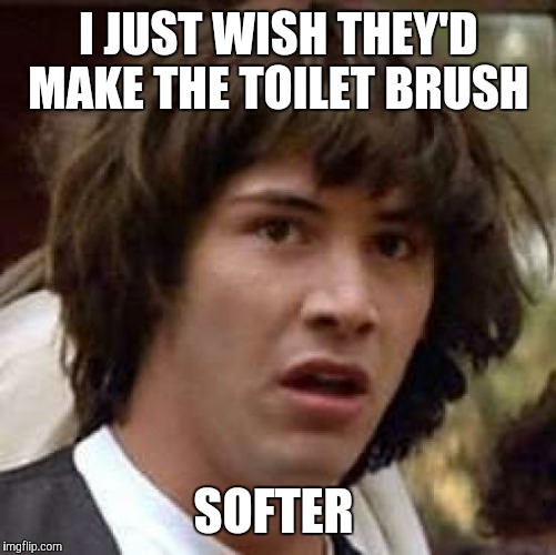Conspiracy Keanu Meme | I JUST WISH THEY'D MAKE THE TOILET BRUSH SOFTER | image tagged in memes,conspiracy keanu | made w/ Imgflip meme maker