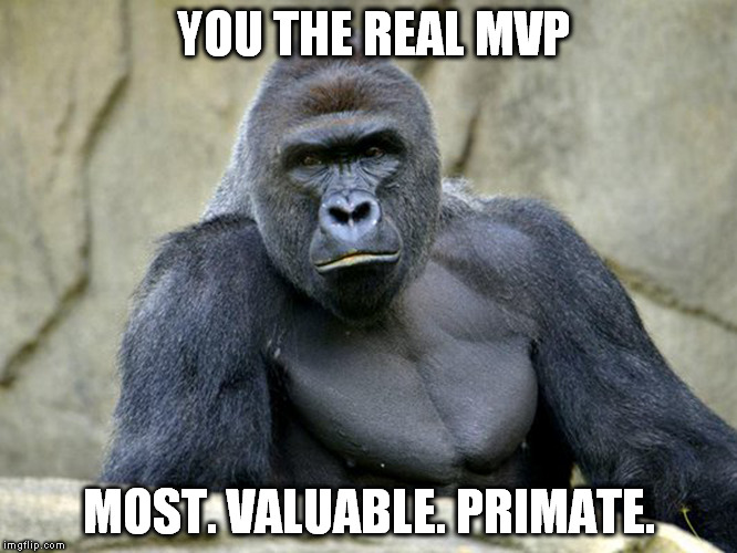 YOU THE REAL MVP; MOST. VALUABLE. PRIMATE. | image tagged in hambre | made w/ Imgflip meme maker