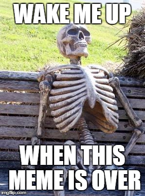 Waiting Skeleton Meme | WAKE ME UP WHEN THIS MEME IS OVER | image tagged in memes,waiting skeleton | made w/ Imgflip meme maker