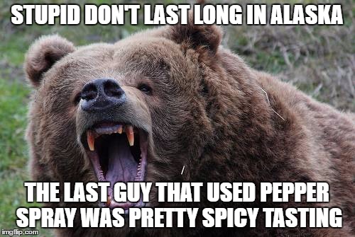 Stupid people in the wilderness | STUPID DON'T LAST LONG IN ALASKA THE LAST GUY THAT USED PEPPER SPRAY WAS PRETTY SPICY TASTING | image tagged in bear | made w/ Imgflip meme maker