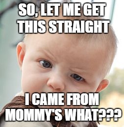 Skeptical Baby | SO, LET ME GET THIS STRAIGHT; I CAME FROM MOMMY'S WHAT??? | image tagged in memes,skeptical baby | made w/ Imgflip meme maker