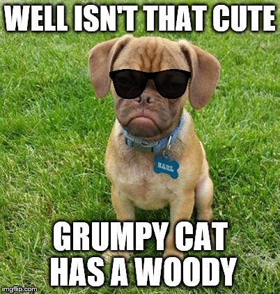 WELL ISN'T THAT CUTE GRUMPY CAT HAS A WOODY | made w/ Imgflip meme maker