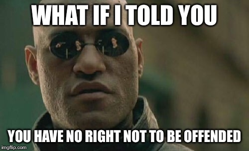 Matrix Morpheus | WHAT IF I TOLD YOU; YOU HAVE NO RIGHT NOT TO BE OFFENDED | image tagged in memes,matrix morpheus | made w/ Imgflip meme maker