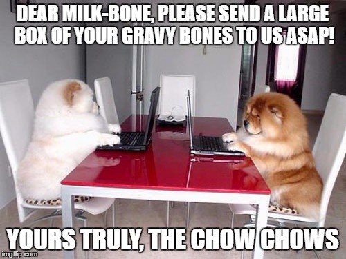 DEAR MILK-BONE, PLEASE SEND A LARGE BOX OF YOUR GRAVY BONES TO US ASAP! YOURS TRULY, THE CHOW CHOWS | made w/ Imgflip meme maker