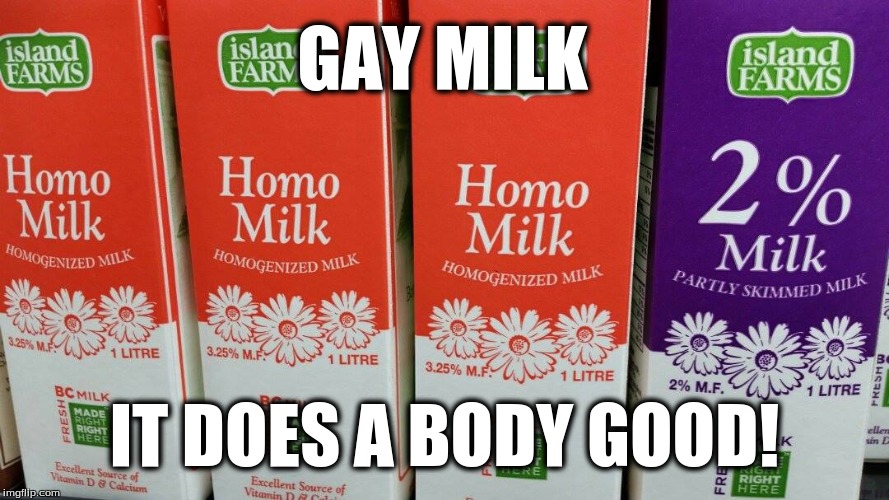 GAY MILK; IT DOES A BODY GOOD! | image tagged in homo,milk,gay | made w/ Imgflip meme maker