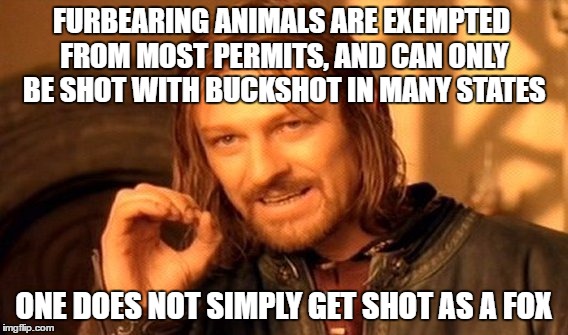 One Does Not Simply Meme | FURBEARING ANIMALS ARE EXEMPTED FROM MOST PERMITS, AND CAN ONLY BE SHOT WITH BUCKSHOT IN MANY STATES ONE DOES NOT SIMPLY GET SHOT AS A FOX | image tagged in memes,one does not simply | made w/ Imgflip meme maker