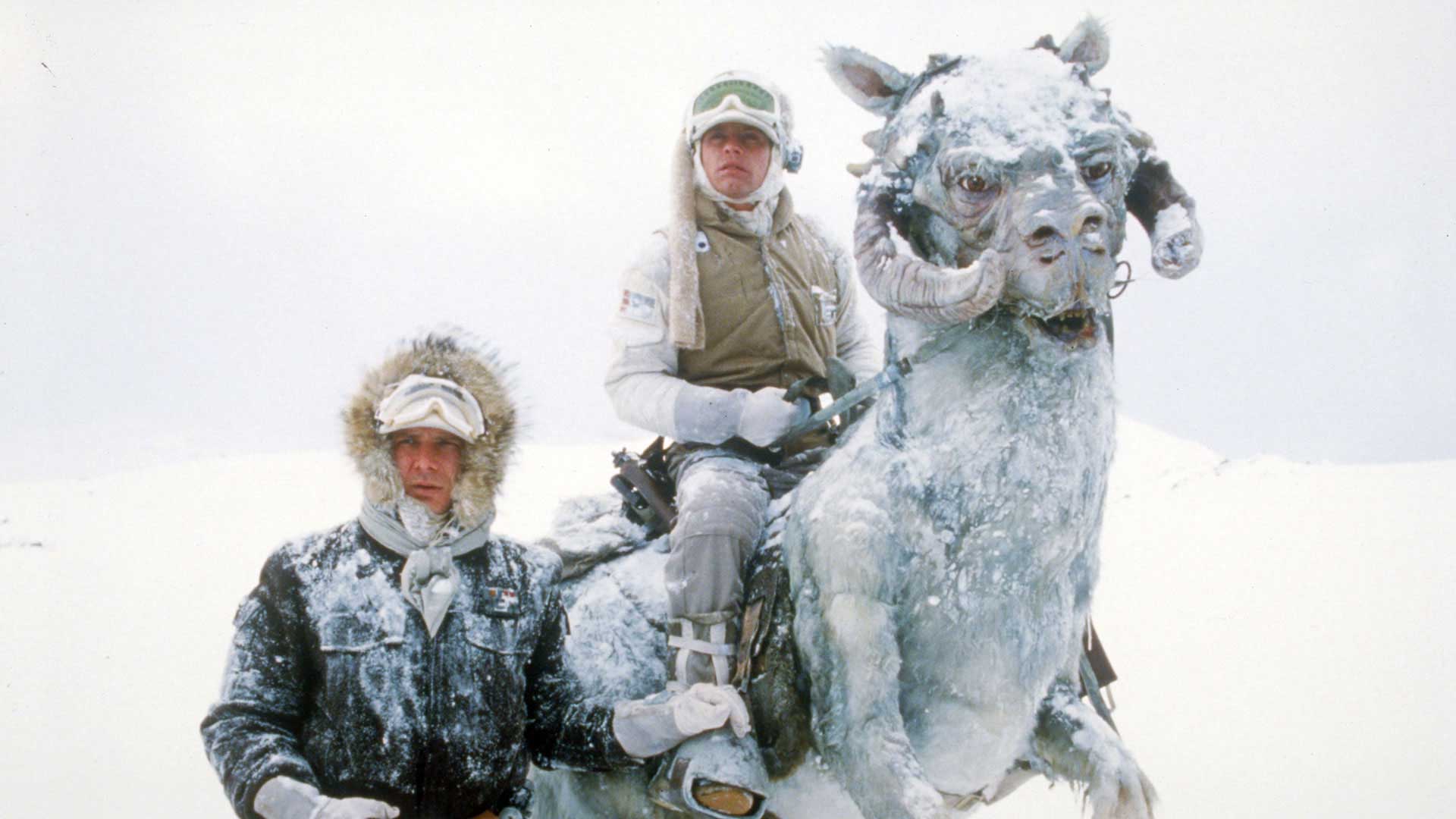 High Quality star wars tauntaun Blank Meme Template