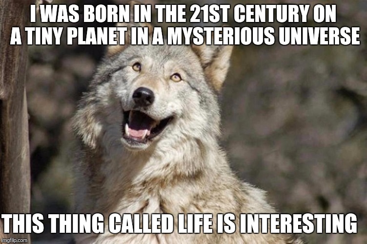 Optimistic Moon Moon Wolf Vanadium Wolf | I WAS BORN IN THE 21ST CENTURY ON A TINY PLANET IN A MYSTERIOUS UNIVERSE; THIS THING CALLED LIFE IS INTERESTING | image tagged in optimistic moon moon wolf vanadium wolf | made w/ Imgflip meme maker