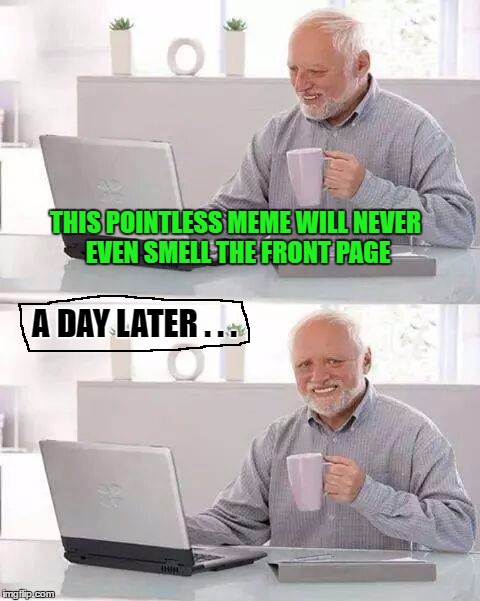 Hide the Pain Harold | THIS POINTLESS MEME WILL NEVER EVEN SMELL THE FRONT PAGE; A DAY LATER . . . | image tagged in memes,hide the pain harold,front page,stupid | made w/ Imgflip meme maker
