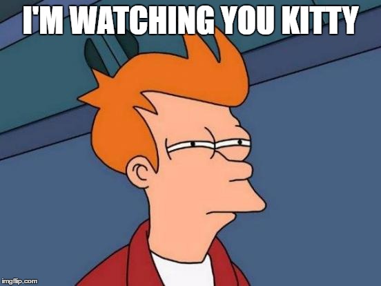 Futurama Fry Meme | I'M WATCHING YOU KITTY | image tagged in memes,futurama fry | made w/ Imgflip meme maker