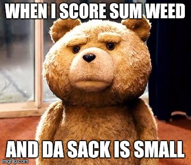 TED Meme | WHEN I SCORE SUM WEED; AND DA SACK IS SMALL | image tagged in memes,ted | made w/ Imgflip meme maker