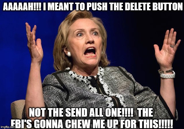 Frustrated hillary | AAAAAH!!! I MEANT TO PUSH THE DELETE BUTTON; NOT THE SEND ALL ONE!!!!  THE FBI'S GONNA CHEW ME UP FOR THIS!!!!! | image tagged in frustrated hillary | made w/ Imgflip meme maker