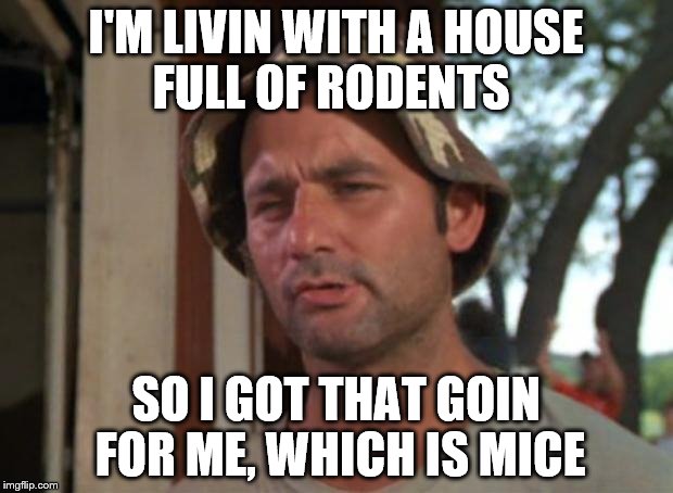So I Got That Goin For Me, Which Is So Nice | I'M LIVIN WITH A HOUSE FULL OF RODENTS; SO I GOT THAT GOIN FOR ME, WHICH IS MICE | image tagged in memes,so i got that goin for me which is nice | made w/ Imgflip meme maker