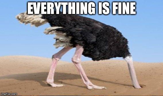 EVERYTHING IS FINE | made w/ Imgflip meme maker