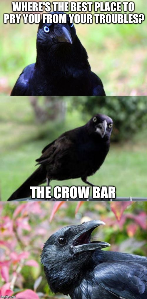 bad pun crow | WHERE'S THE BEST PLACE TO PRY YOU FROM YOUR TROUBLES? THE CROW BAR | image tagged in bad pun crow | made w/ Imgflip meme maker