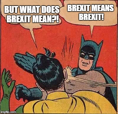 Batman Slapping Robin Meme | BUT WHAT DOES BREXIT MEAN?! BREXIT MEANS BREXIT! | image tagged in memes,batman slapping robin | made w/ Imgflip meme maker