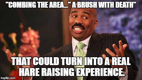 Steve Harvey Meme | "COMBING THE AREA..." A BRUSH WITH DEATH" THAT COULD TURN INTO A REAL HARE RAISING EXPERIENCE. | image tagged in memes,steve harvey | made w/ Imgflip meme maker