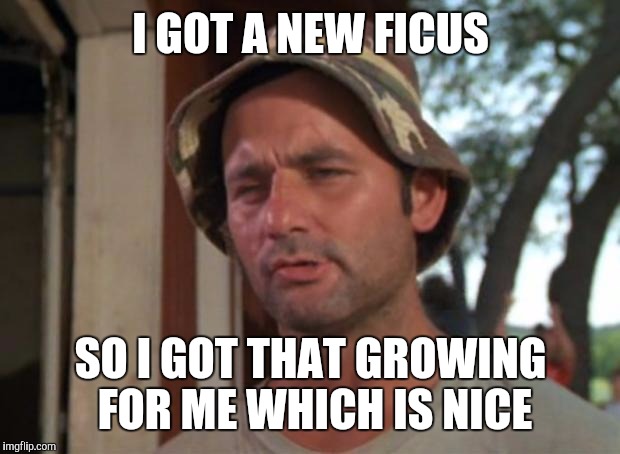 I GOT A NEW FICUS SO I GOT THAT GROWING FOR ME WHICH IS NICE | made w/ Imgflip meme maker