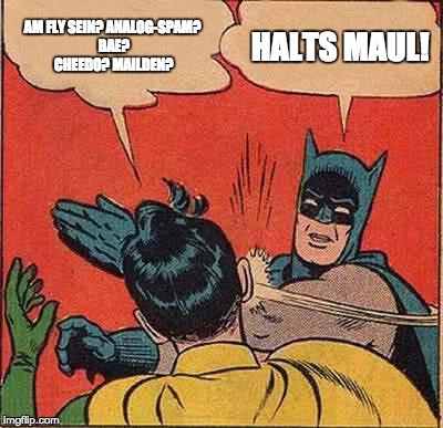 Batman Slapping Robin Meme | AM FLY SEIN?
ANALOG-SPAM? BAE? CHEEDO? MAILDEN? HALTS MAUL! | image tagged in memes,batman slapping robin | made w/ Imgflip meme maker