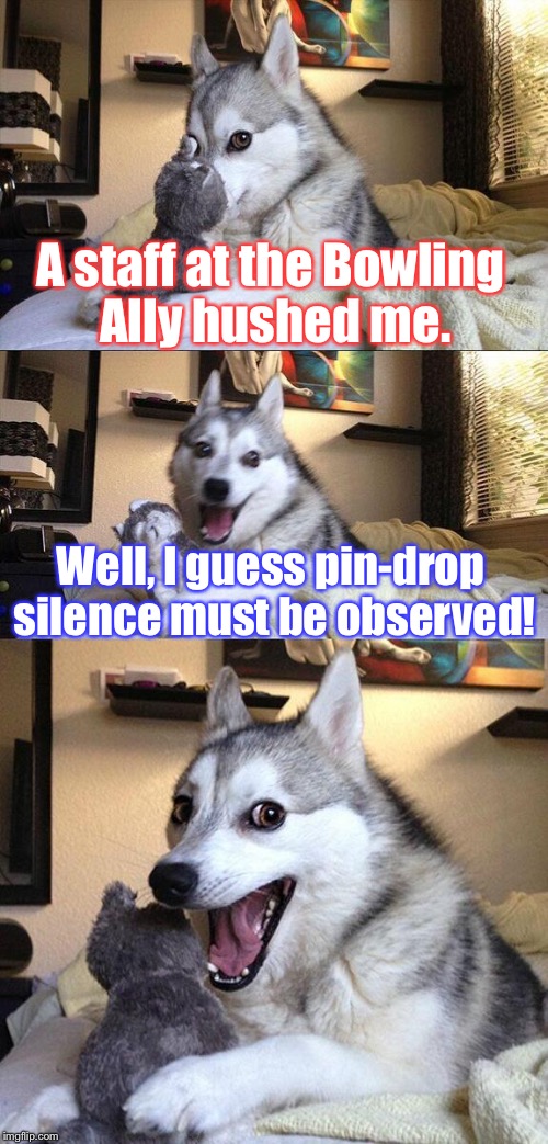 SILENCE!! | A staff at the Bowling Ally hushed me. Well, I guess pin-drop silence must be observed! | image tagged in memes,bad pun dog,silence,bowling,funny | made w/ Imgflip meme maker