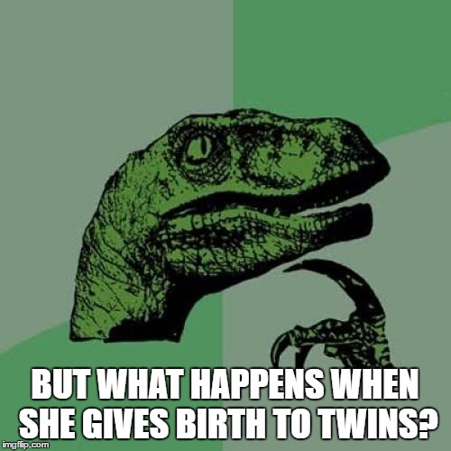 BUT WHAT HAPPENS WHEN SHE GIVES BIRTH TO TWINS? | image tagged in memes,philosoraptor | made w/ Imgflip meme maker