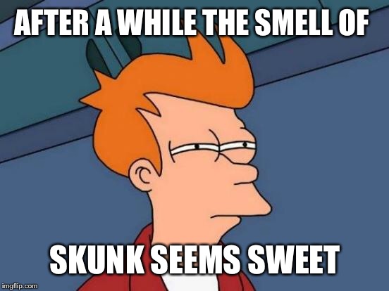 Futurama Fry Meme | AFTER A WHILE THE SMELL OF SKUNK SEEMS SWEET | image tagged in memes,futurama fry | made w/ Imgflip meme maker