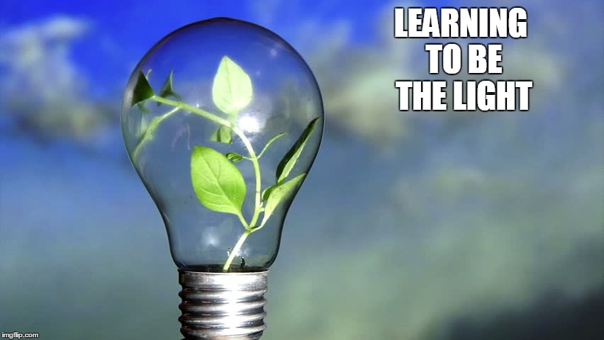 LEARNING TO BE THE LIGHT | image tagged in light | made w/ Imgflip meme maker