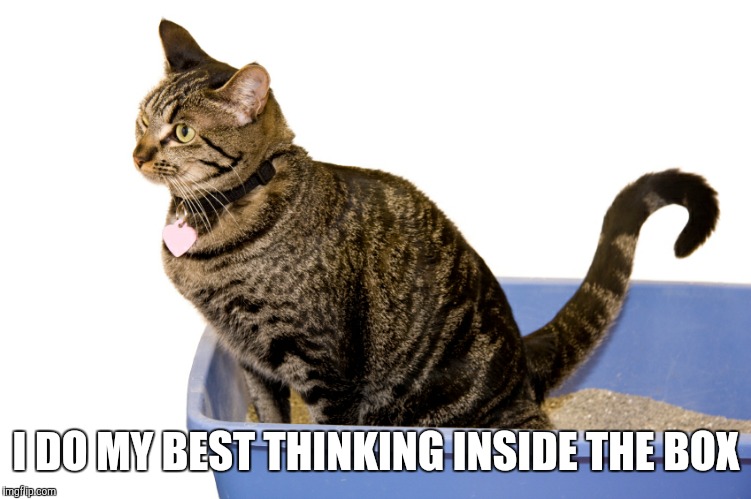 I DO MY BEST THINKING INSIDE THE BOX | made w/ Imgflip meme maker
