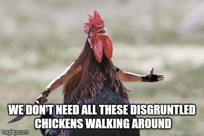 WE DON'T NEED ALL THESE DISGRUNTLED CHICKENS WALKING AROUND | made w/ Imgflip meme maker