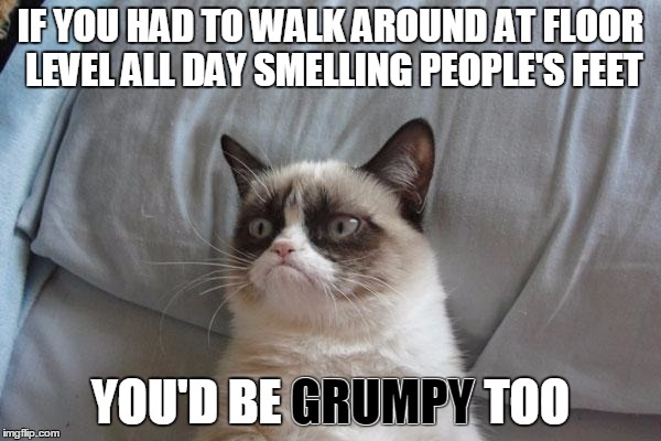 Have Grump Will Travel | IF YOU HAD TO WALK AROUND AT FLOOR LEVEL ALL DAY SMELLING PEOPLE'S FEET; YOU'D BE GRUMPY TOO; GRUMPY | image tagged in memes,grumpy cat bed,grumpy cat,bad smell,feet,grumpy cat origins | made w/ Imgflip meme maker