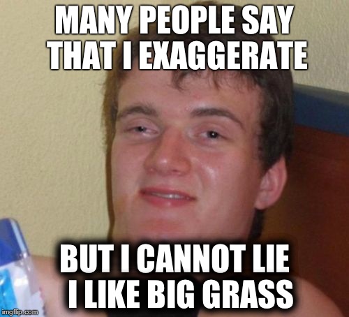 10 Guy | MANY PEOPLE SAY THAT I EXAGGERATE; BUT I CANNOT LIE  I LIKE BIG GRASS | image tagged in memes,10 guy | made w/ Imgflip meme maker