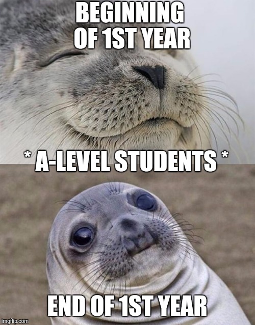 When people start A-Levels... |  BEGINNING OF 1ST YEAR; * A-LEVEL STUDENTS *; END OF 1ST YEAR | image tagged in memes,short satisfaction vs truth,a-levels,peter whitehead,first year,students | made w/ Imgflip meme maker