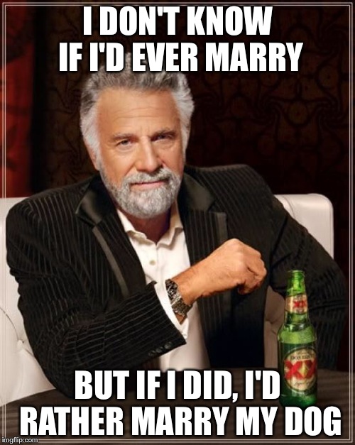 The Most Interesting Man In The World Meme | I DON'T KNOW IF I'D EVER MARRY BUT IF I DID, I'D RATHER MARRY MY DOG | image tagged in memes,the most interesting man in the world | made w/ Imgflip meme maker