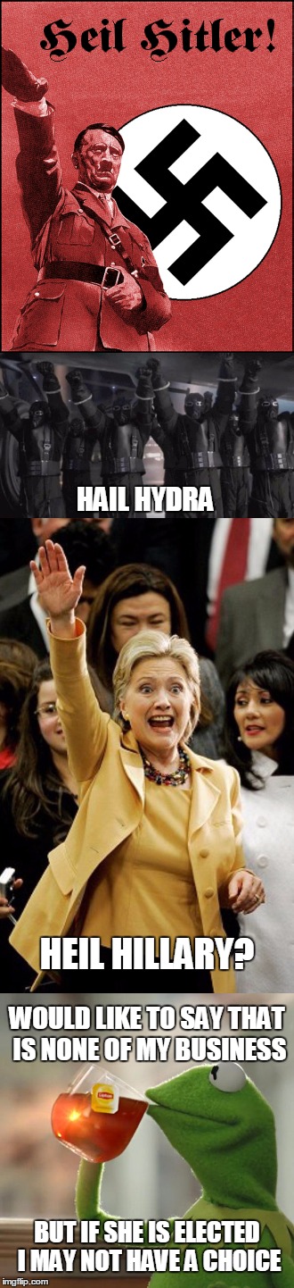HAIL HYDRA HEIL HILLARY? WOULD LIKE TO SAY THAT IS NONE OF MY BUSINESS BUT IF SHE IS ELECTED I MAY NOT HAVE A CHOICE | made w/ Imgflip meme maker