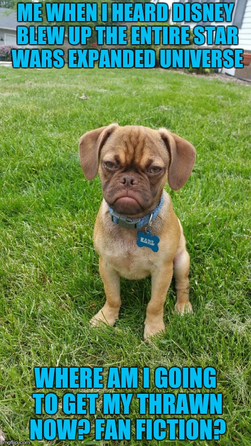 star wars book nerd! | ME WHEN I HEARD DISNEY BLEW UP THE ENTIRE STAR WARS EXPANDED UNIVERSE; WHERE AM I GOING TO GET MY THRAWN NOW? FAN FICTION? | image tagged in earl the grumpy dog,funny dogs,animals,puppies,star wars | made w/ Imgflip meme maker