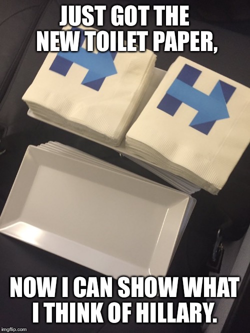 Hillary Toilet Paper | JUST GOT THE NEW TOILET PAPER, NOW I CAN SHOW WHAT I THINK OF HILLARY. | image tagged in hillary toilet paper | made w/ Imgflip meme maker