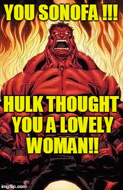 YOU SONOFA !!! HULK THOUGHT YOU A LOVELY WOMAN!! | image tagged in red hulk | made w/ Imgflip meme maker