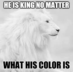 HE IS KING NO MATTER; WHAT HIS COLOR IS | image tagged in white lion | made w/ Imgflip meme maker