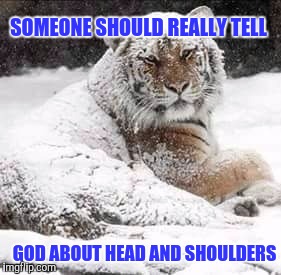 Dandruff  | SOMEONE SHOULD REALLY TELL; GOD ABOUT HEAD AND SHOULDERS | image tagged in dandruff | made w/ Imgflip meme maker
