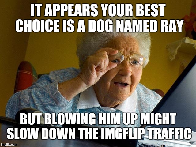 Grandma Finds The Internet Meme | IT APPEARS YOUR BEST CHOICE IS A DOG NAMED RAY BUT BLOWING HIM UP MIGHT SLOW DOWN THE IMGFLIP TRAFFIC | image tagged in memes,grandma finds the internet | made w/ Imgflip meme maker