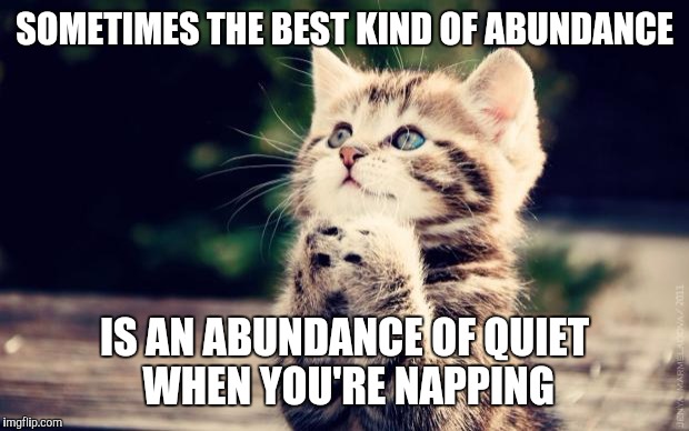 First World Problems Cat  | SOMETIMES THE BEST KIND OF ABUNDANCE; IS AN ABUNDANCE OF QUIET WHEN YOU'RE NAPPING | image tagged in secret,first world problems,cats | made w/ Imgflip meme maker