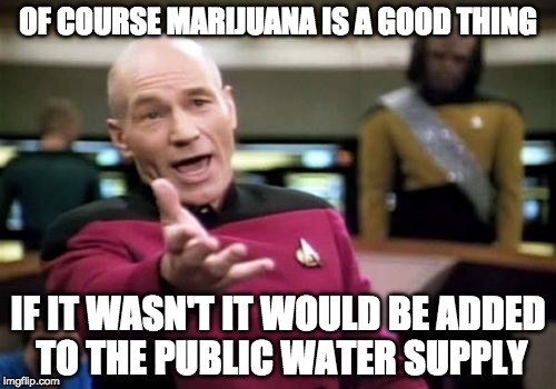 Picard Wtf Meme | OF COURSE MARIJUANA IS A GOOD THING; IF IT WASN'T IT WOULD BE ADDED TO THE PUBLIC WATER SUPPLY | image tagged in memes,picard wtf | made w/ Imgflip meme maker