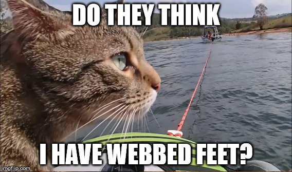 DO THEY THINK I HAVE WEBBED FEET? | made w/ Imgflip meme maker