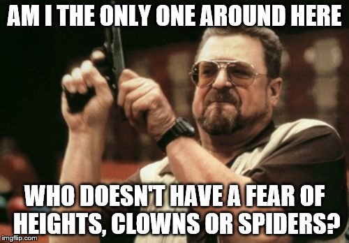 How about YOU guys? What sends shivers down your spines? | AM I THE ONLY ONE AROUND HERE; WHO DOESN'T HAVE A FEAR OF HEIGHTS, CLOWNS OR SPIDERS? | image tagged in memes,am i the only one around here,phobia | made w/ Imgflip meme maker