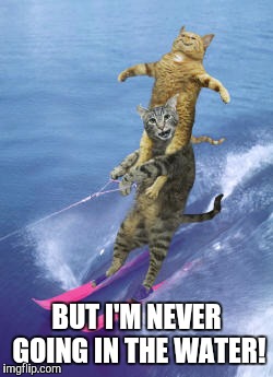 BUT I'M NEVER GOING IN THE WATER! | made w/ Imgflip meme maker