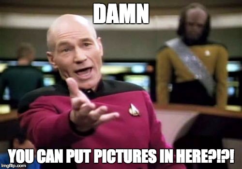 you can put pictures in here | DAMN; YOU CAN PUT PICTURES IN HERE?!?! | image tagged in memes,picard wtf | made w/ Imgflip meme maker